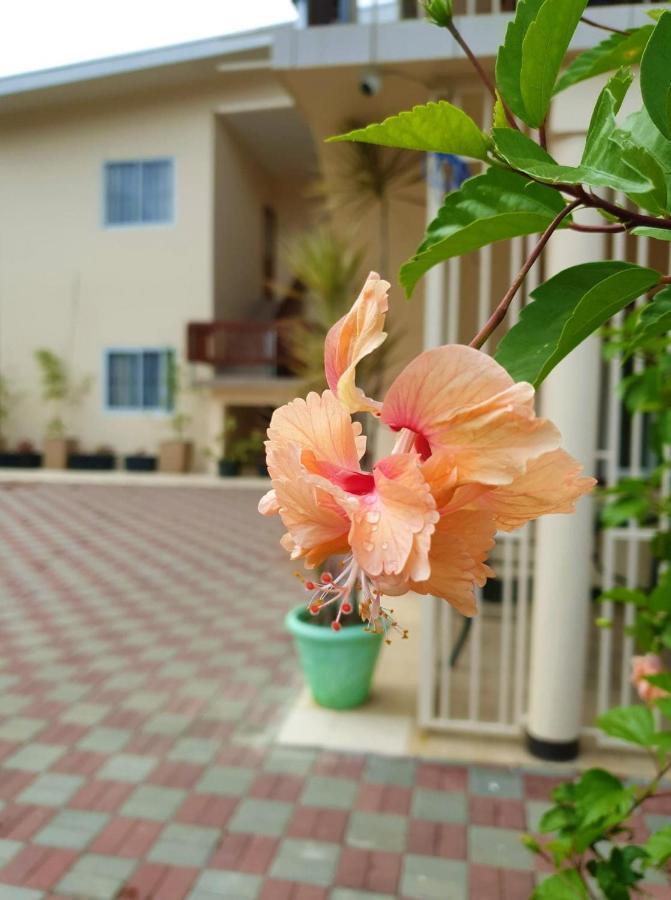 Amalia Apartments ปารามารีโบ ภายนอก รูปภาพ